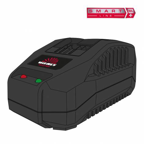 Зарядное устройство для аккумуляторов Vitals Master LSL 1824P